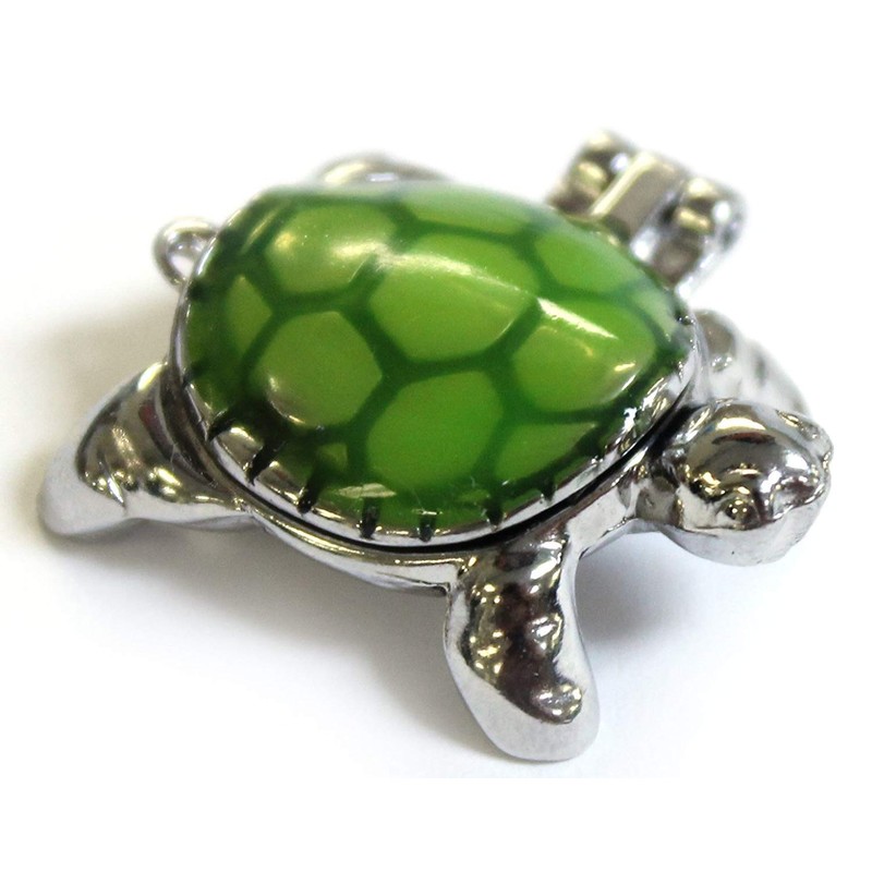 Ganz Lucky Little Turtle Wish Box Charm With Story Card!