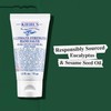 Kiehl's Ultimate Strength Hand Salve 75ml/2.5oz