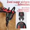 rabbitgoo Dog Harness for Medium Dogs, Anti-Pull Dog Harness with