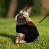 ASOCEA Adjustable Bunny Harness and Leash Breathable Mesh Vest Harness