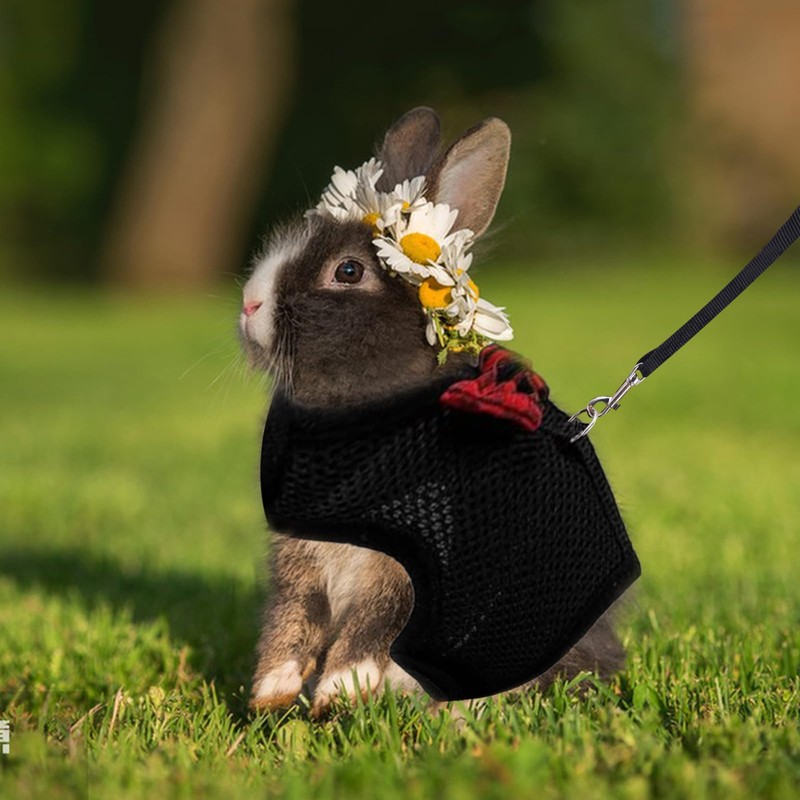 ASOCEA Adjustable Bunny Harness and Leash Breathable Mesh Vest Harness