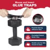 Pelrayt Glue Mouse & Insect Traps Indoor for Home -12
