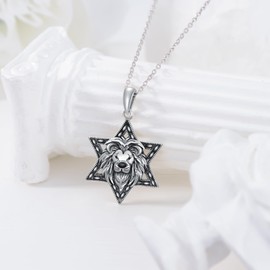 PROESS Star of David Necklace 925 Sterling Silver Lion David Star Necklace Star of David Jewelry for Women Men Gifts