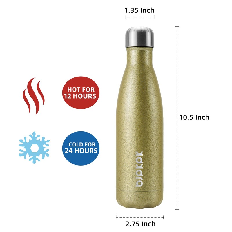 BJPKPK Insulated Water Bottles 17oz,Leak Proof Stainless Steel Water Bottle
