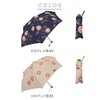 S21001 Folding Umbrella, 21.7 inches (55 cm), Wind Resistant Mini,