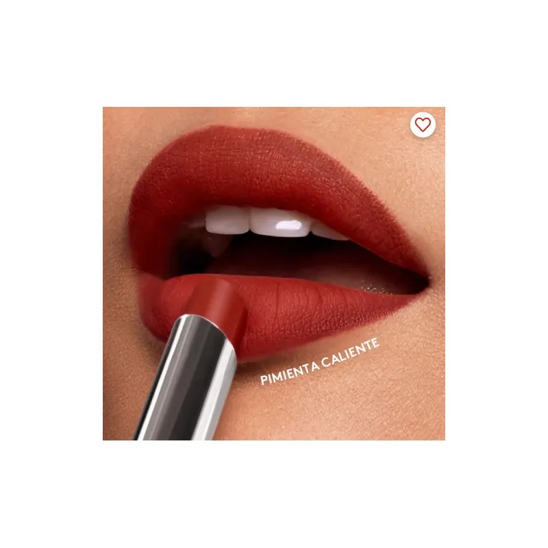 Labial Colorfix Barra No Transfer Larga Duración 24h Esika