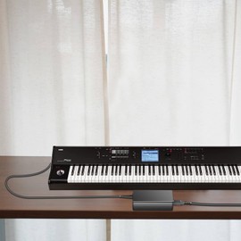 HKY 12V AC/DC Adapter Replacement for Korg Power Supply KA320 for Korg Krome,PA 500,PA 500 Musikant,PA 588,Korg M50,EMX-1 SD,PA5000ORT,KA 320,M50 61 62 72 73 88 Keyboards Synthesizer Workstation