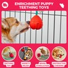 Fossa Interactive Dog Toys, Crate Training Aids for Puppies, Puzzle