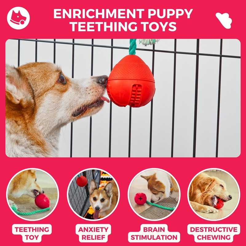 Fossa Interactive Dog Toys, Crate Training Aids for Puppies, Puzzle