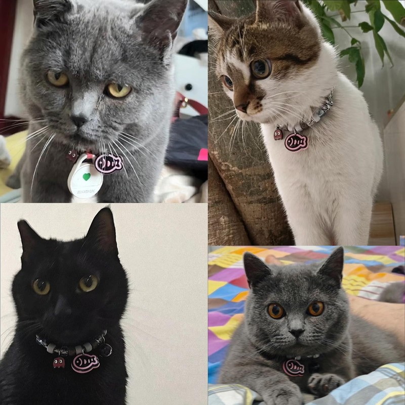 Hjvvr Cat Collar With Bell,Breakaway Pet Collar,Black Theme Fish Collar