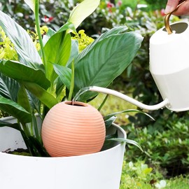 eusbon Plant Watering Globes Clay 400ml Large Self Watering Ball Automatic Watering Stick Devices with Wooden Plugs 4 Pack