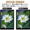 Blue Light Films for Kindle 6 Inch (11th Generation, 2022