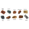 Safari Ltd. | Ancient Fossils - 10 Pieces | TOOBs