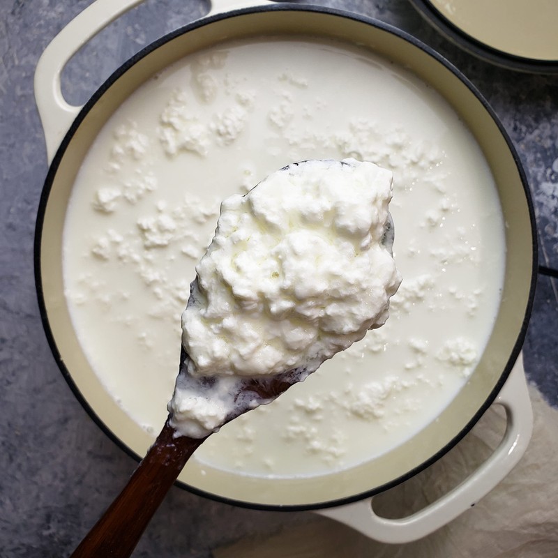 Cultures for Health Paneer & Queso Blanco Artisan Cheesemaking Kit