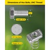 GZBEVITAR Spring Channel Nut and Bolt - 1/2" x 15/16"