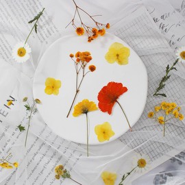 Dried Flowers for Resin, elefis Rose Pressed Flowers and Leaves for Resin, Candle Making, Crafts, Nails, Scrapbooking, Epoxy Jewelry, Soap Making (Colorful B)