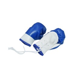 Mini Boxing Gloves Miniature Boxing Accessories Hanging Boxing Bag Gloves Decorative Boxing Toys for Home Car Christmas Boxing Party Decor (Blue White)