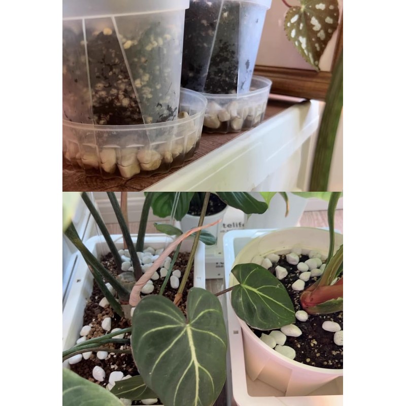 30 QT Professional Grade Horticultural Organic Perlite (30 QT, Large