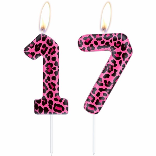 Leopard Print Number 17 Party Decorations - Pink Cheetah 17th