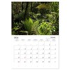 Wonderful World - Forests (Monthly Wall Calendar 2026 16.5" x