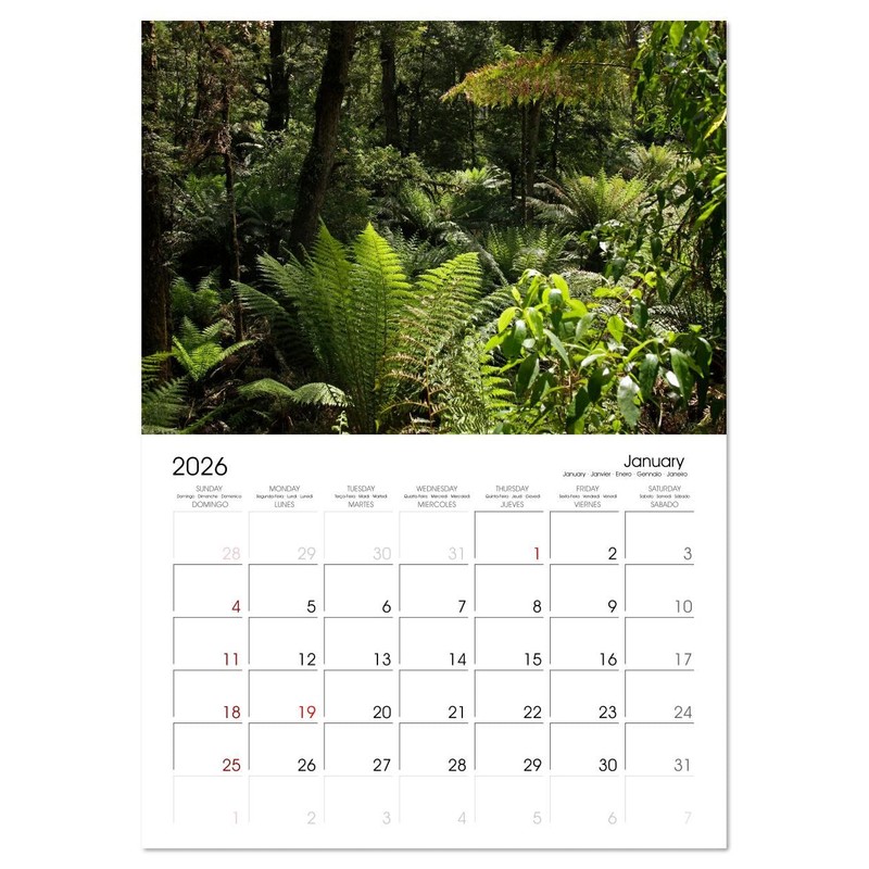 Wonderful World - Forests (Monthly Wall Calendar 2026 16.5" x
