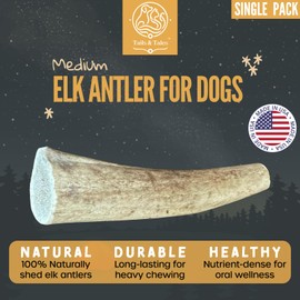 Tails & Tales Whole Elk Antler for Dogs | Medium 5-7" for Aggressive Chewers - Long-Lasting, No Odor, No Additives, Premium Grade A, Naturally Shed in USA