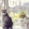 Pack of 2 Rainbow Prism Static Window Stickers - Sun