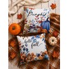 Fall Pillow Covers 18x18 Set of 2 Velvet Farmhouse Rustic