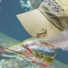 HOOKITS Alligator Gar Hookit® - Fish hook - hat clip