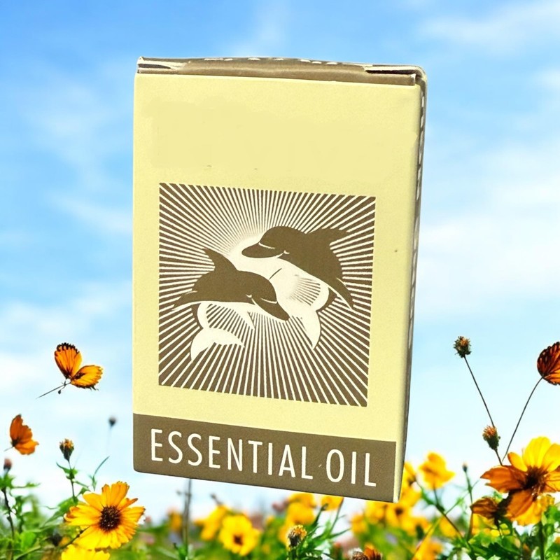 2 Packs - Song Ngu Essential Oil - Dau Nong