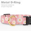 Rnivvi Dog Collar for Small Dogs, Cute Heavy Duty Adjustable