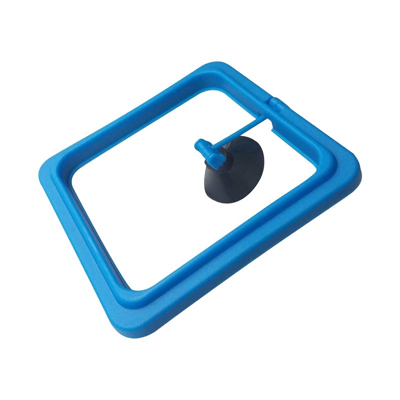 Fish Feeding Ring Floating Food Feeder Circle with Suction Cup