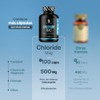 Cloruro de Magnesio 500mg | 100 Cápsulas Ingredientes Naturales |