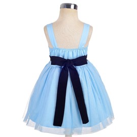 Lito Angels Alice in Wonderland Princess Fancy Tulle Dress Costume with White Apron and Bowknot Hair Hoop for Baby Girls Age 12-18 Years, Blue (Tag Number 80)