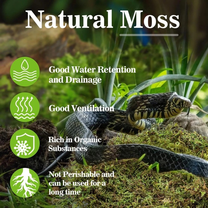 Sphagnum Moss for Reptiles -Terrarium Moss for Reptiles Peat Moss