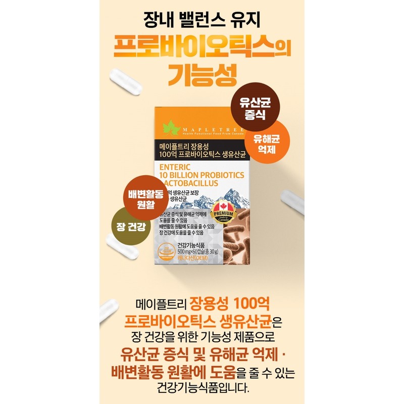 Large intestine lactic acid bacteria Bifidus lactic acid bacteria that