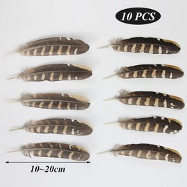 Zasvec Pheasant Feathers Long Pack of 30 Natural Decoration Rooster Feather Pheasant Feathers Turkey Feathers Natural Bird Feather Pheasant Tail Feathers Natural Craft Feather 10-25 cm Length for