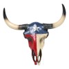 Southwest Longhorn Cow Steer Skull With Texas Lone Star State