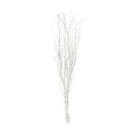 Balsa Circle 6 pcs White 46-inch Extra Long Decorative Birch Tree Branches Vase Fillers Rustic Dried Twigs Sticks Party Wedding Bouquets Centerpieces Supplies