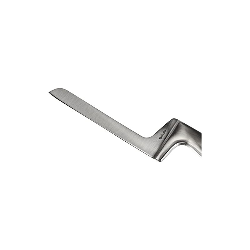 Iittala Collective Tools 1009859 Cheese Knife, Stainless Steel, 26 cm