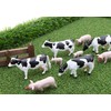 Toyland® 1:32 Scale Farmyard Animals Set - The Farm Collection