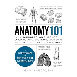 Anatomy 101: From Muscles and Bones to Organs and Systems, Your Guide to How the Human Body Works
