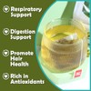 TEARELAE - Premium Sage Leaf Tea Bags - 1.5g x