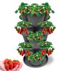 SunVara Strawberry Planter Vertical Gardening