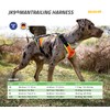 Julius-K9 Mantrailing Harness, Size: XS, Black