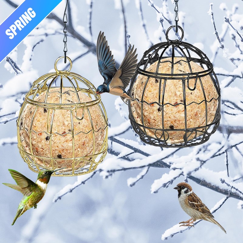 8 Pcs Suet Bird Feeders for Outside Hanging, Metal Wild