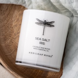 Red Leaf Home | Sea Salt and Iris Jar Candle With Wooden Lid | Medium | Aromatherapy | Vintage Insect Collection | 11oz