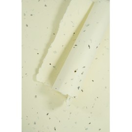 Netuno 5 Sheets of Handmade Paper Mint DIN A4 Approx. 205 x 290 mm Fine Paper A4 Vintage Paper Handmade with Deckle Edge Luxury Paper Certificate Paper Premium Paper for Diploma Certificates Artist