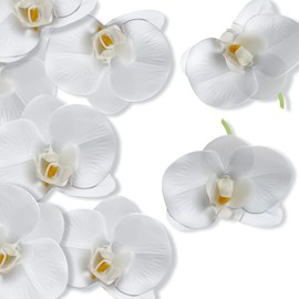 LARDUX - Juego de 20 cabezas de orquídea artificial, diseño de mariposa sintética, a granel para manualidades, bodas, fiestas, centros de mesa, decoración del hogar, color blanco