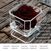 A 100% Real Rose That Lasts Years - Eternal Petals,